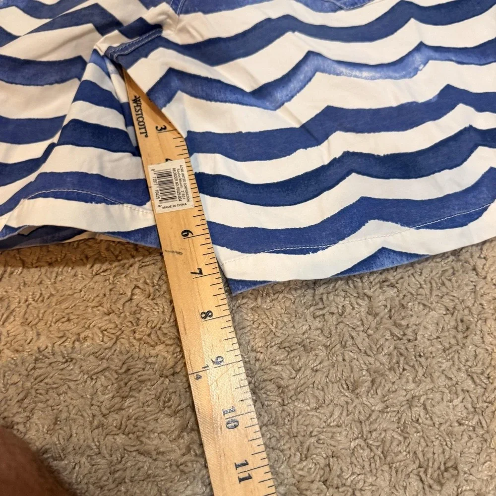 Chubbies Swim Shorts Mens Small Blue Wave Stripe Mesh Lined Quick Dry Trunks
